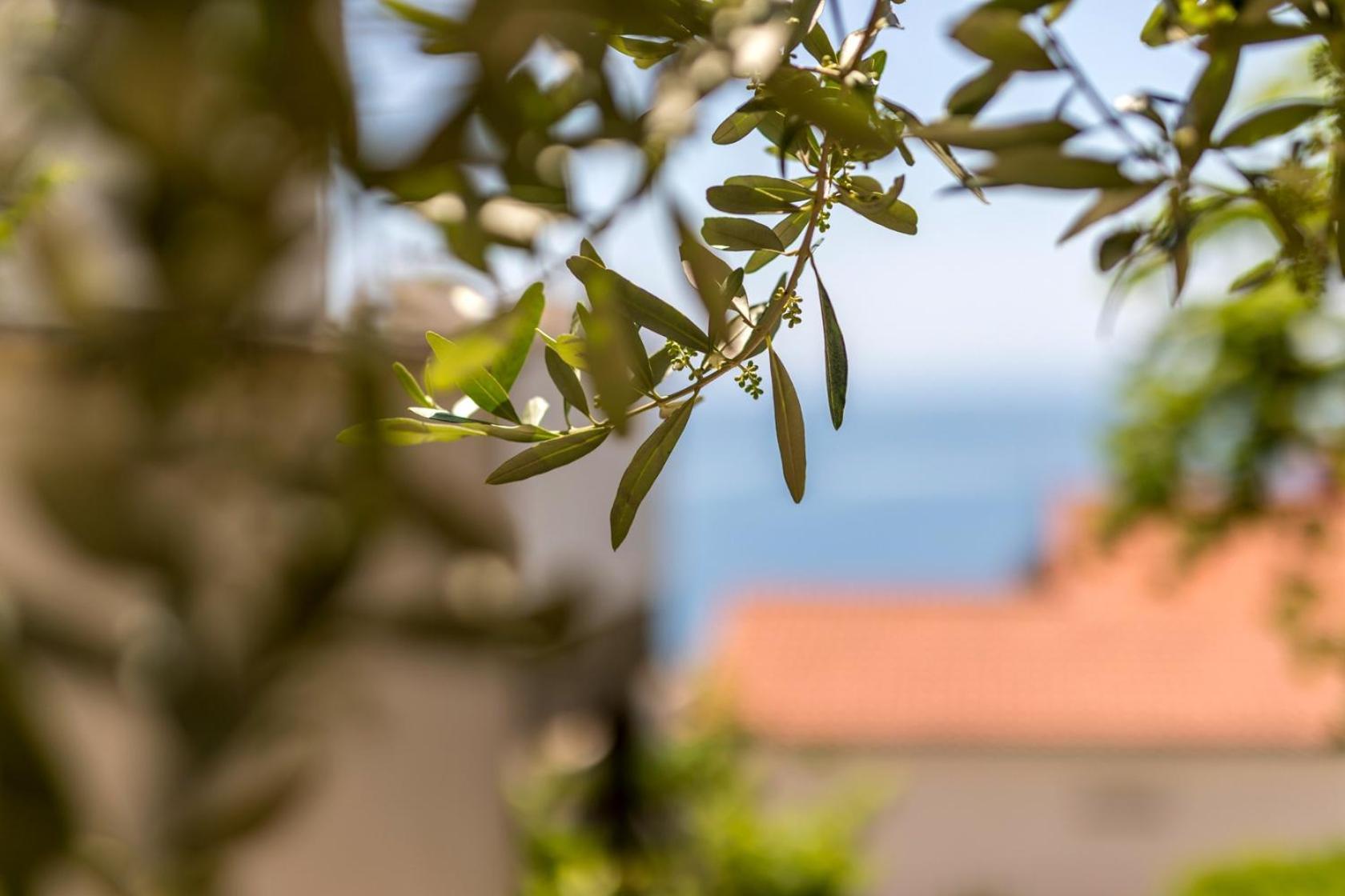 Apartments With A Parking Space Baska Voda, Makarska - 301 Exteriér fotografie